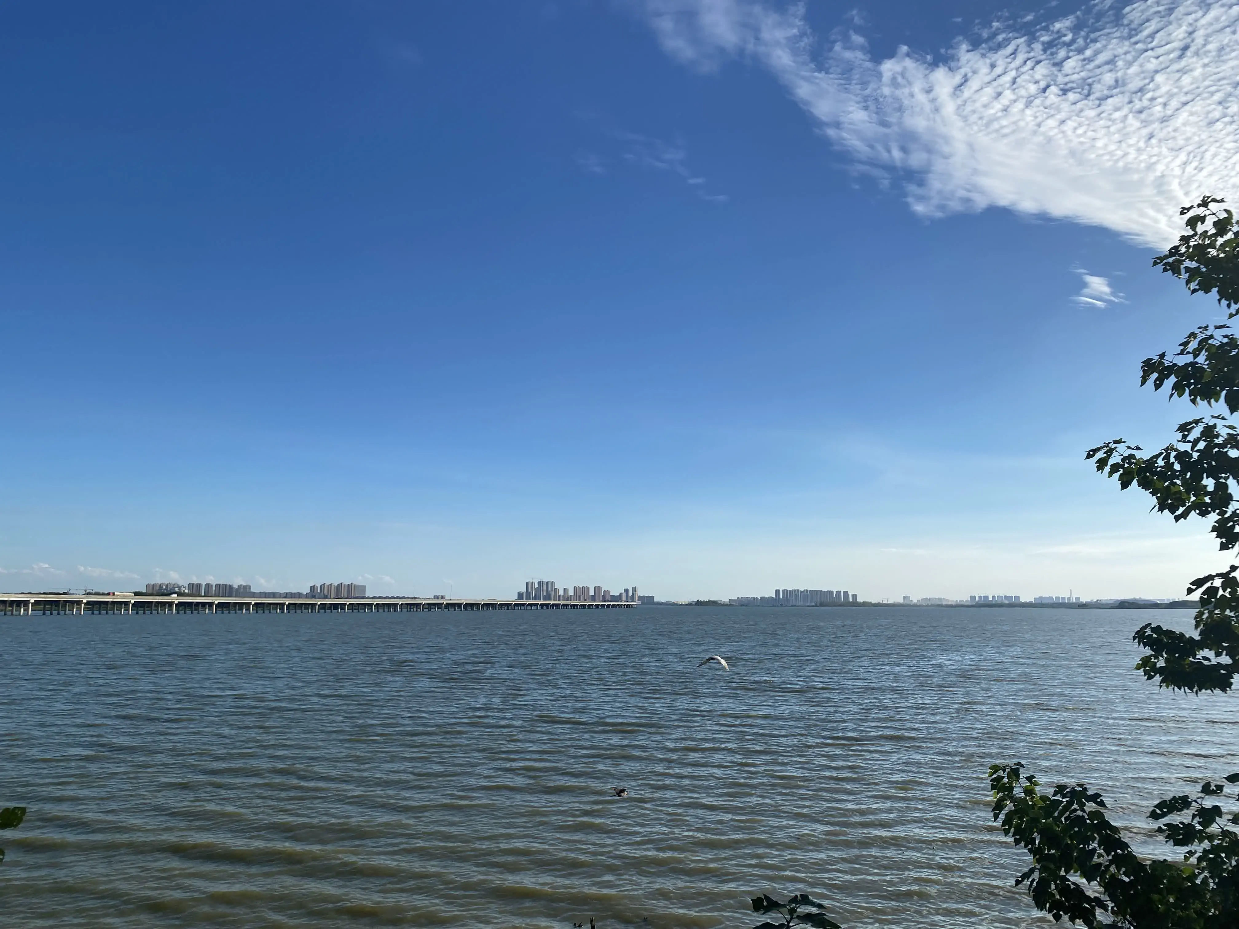 /assets/HouGuanLake3.BYHHcjNT.webp